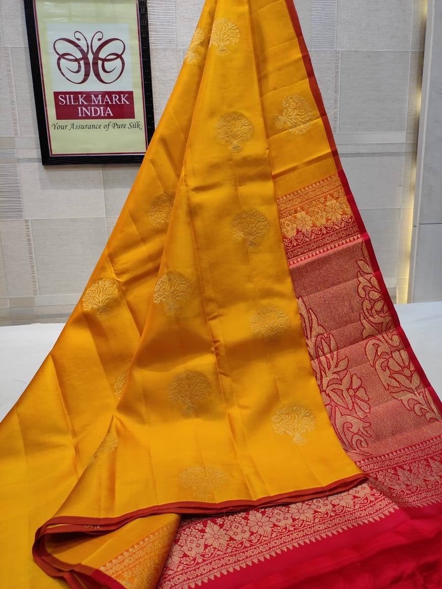 Silk Mark Certified Pure Kanchipuram Soft silk saree