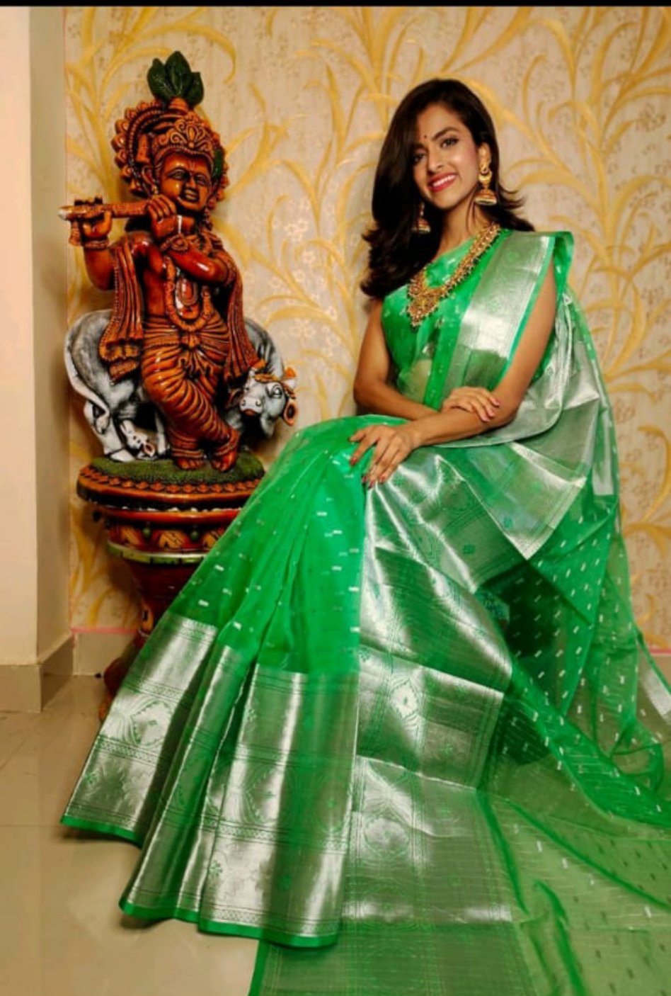 Banarasi Organza saree
