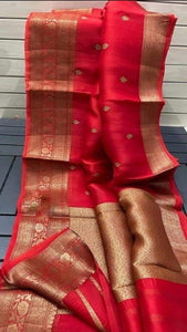 Banarasi Organza saree