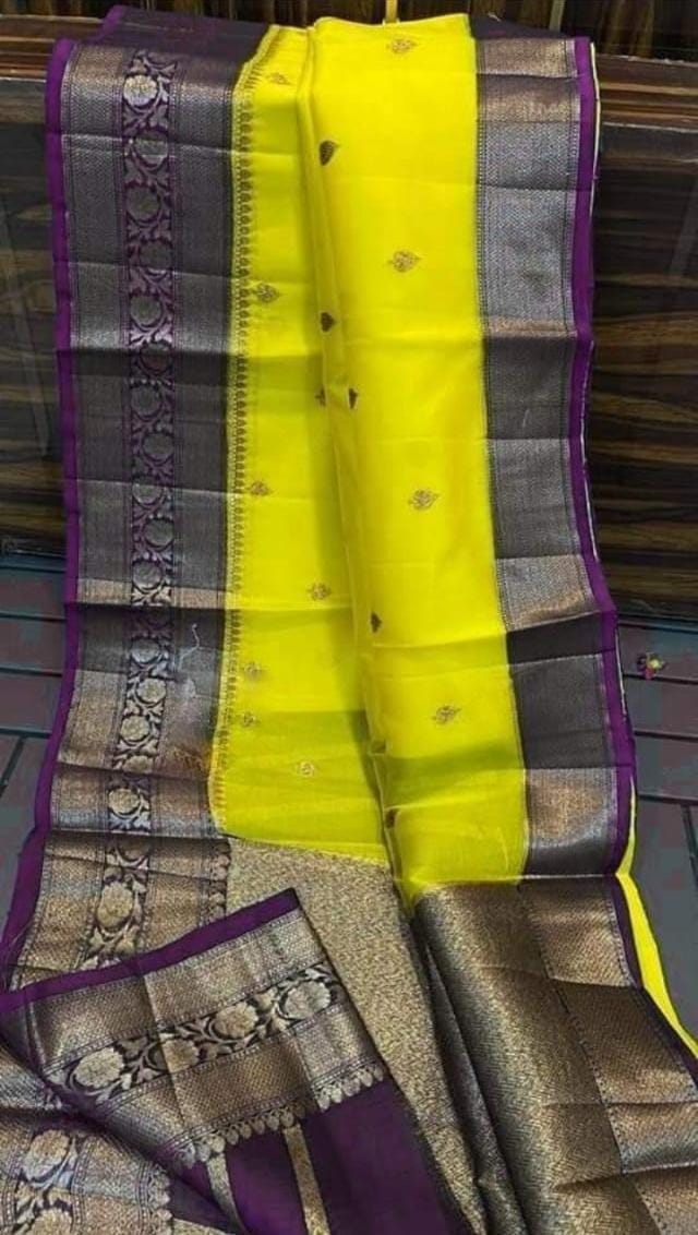 Banarasi Organza saree